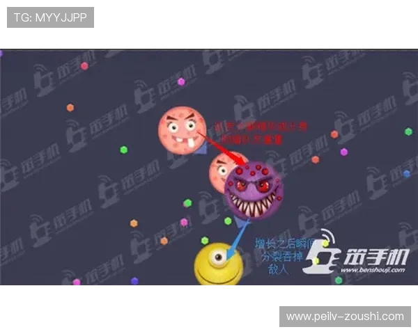 玩球波胆套利稳赚吗避坑防骗全解析
